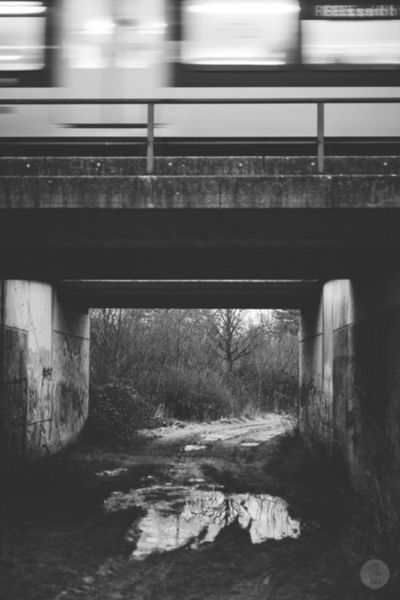 Archillect ID 47986