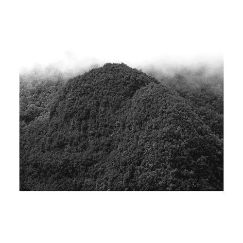 Archillect ID 48012