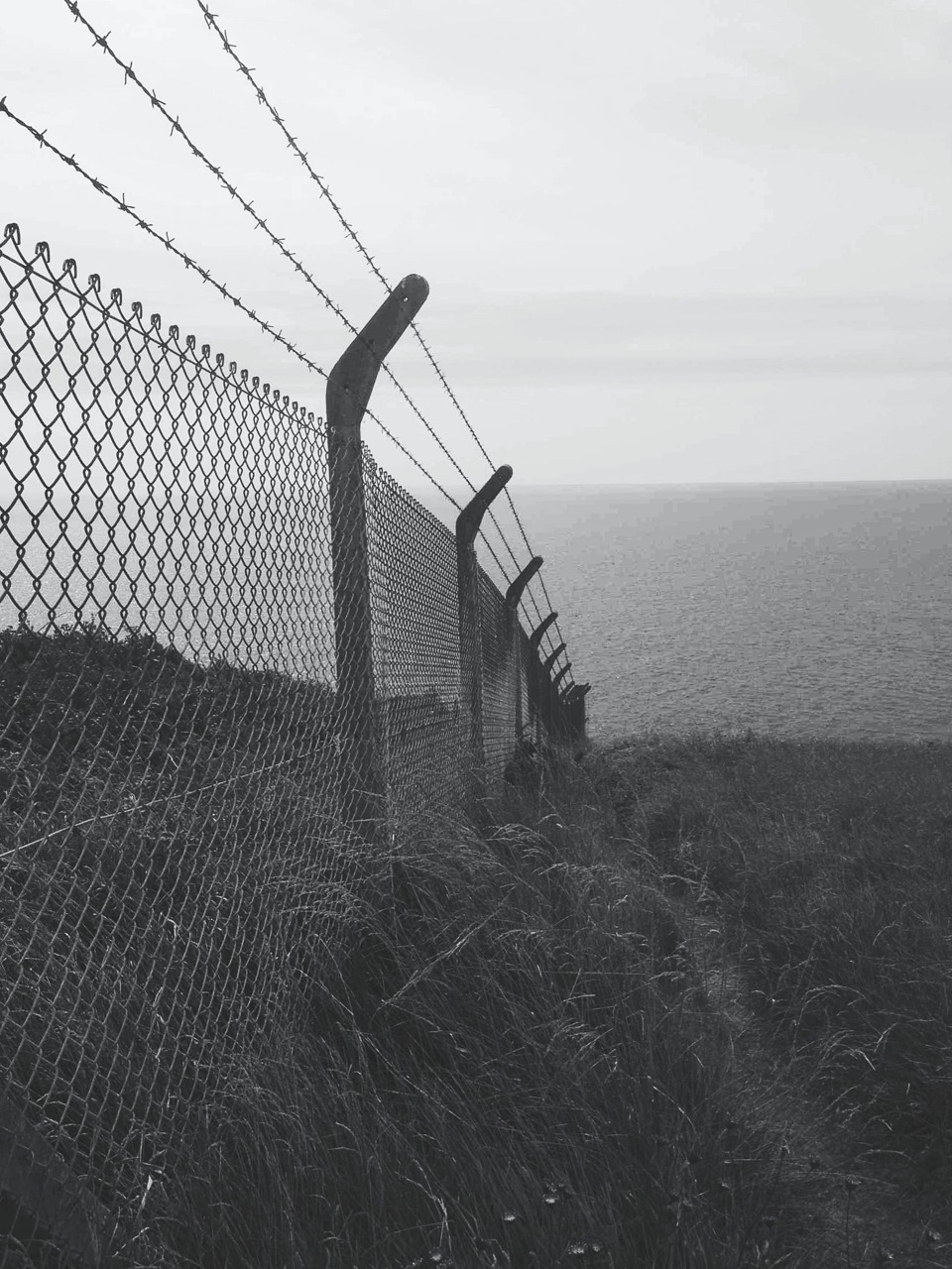 Archillect ID 48060