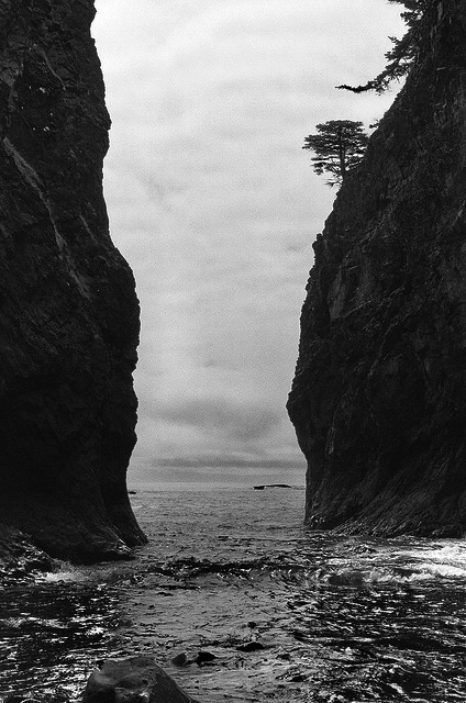 Archillect ID 48077