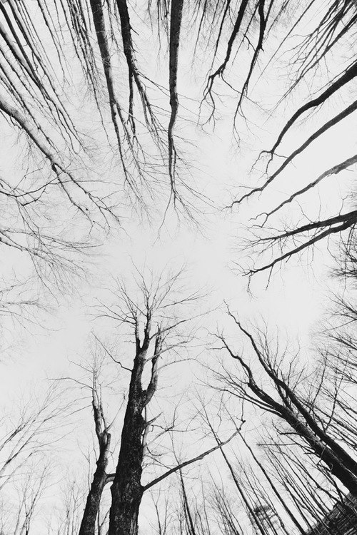 Archillect ID 48123