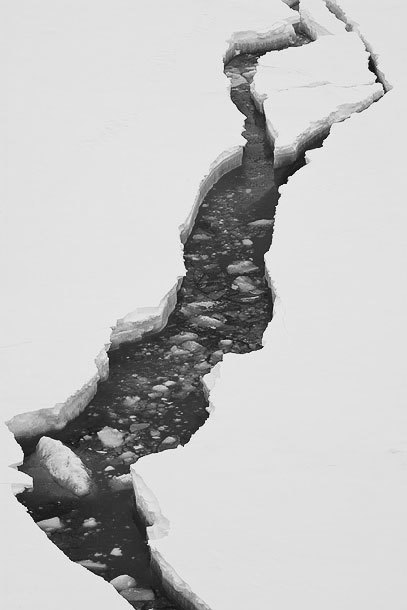 Archillect ID 48167