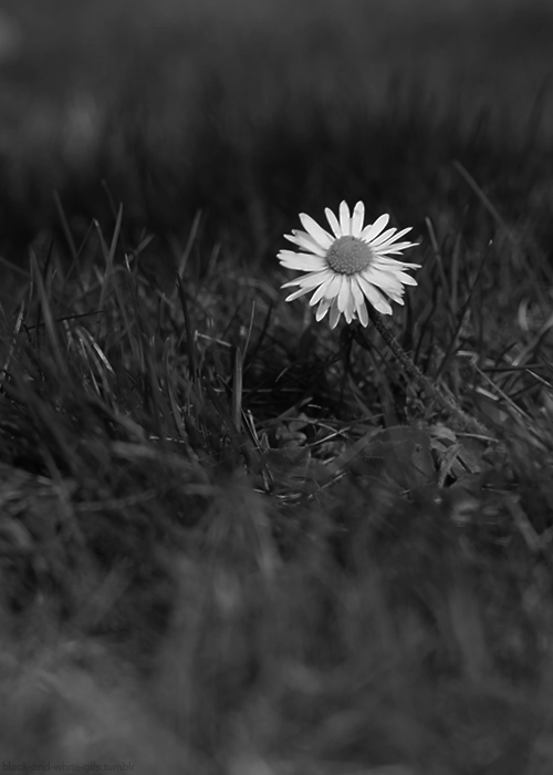 Archillect ID 48169