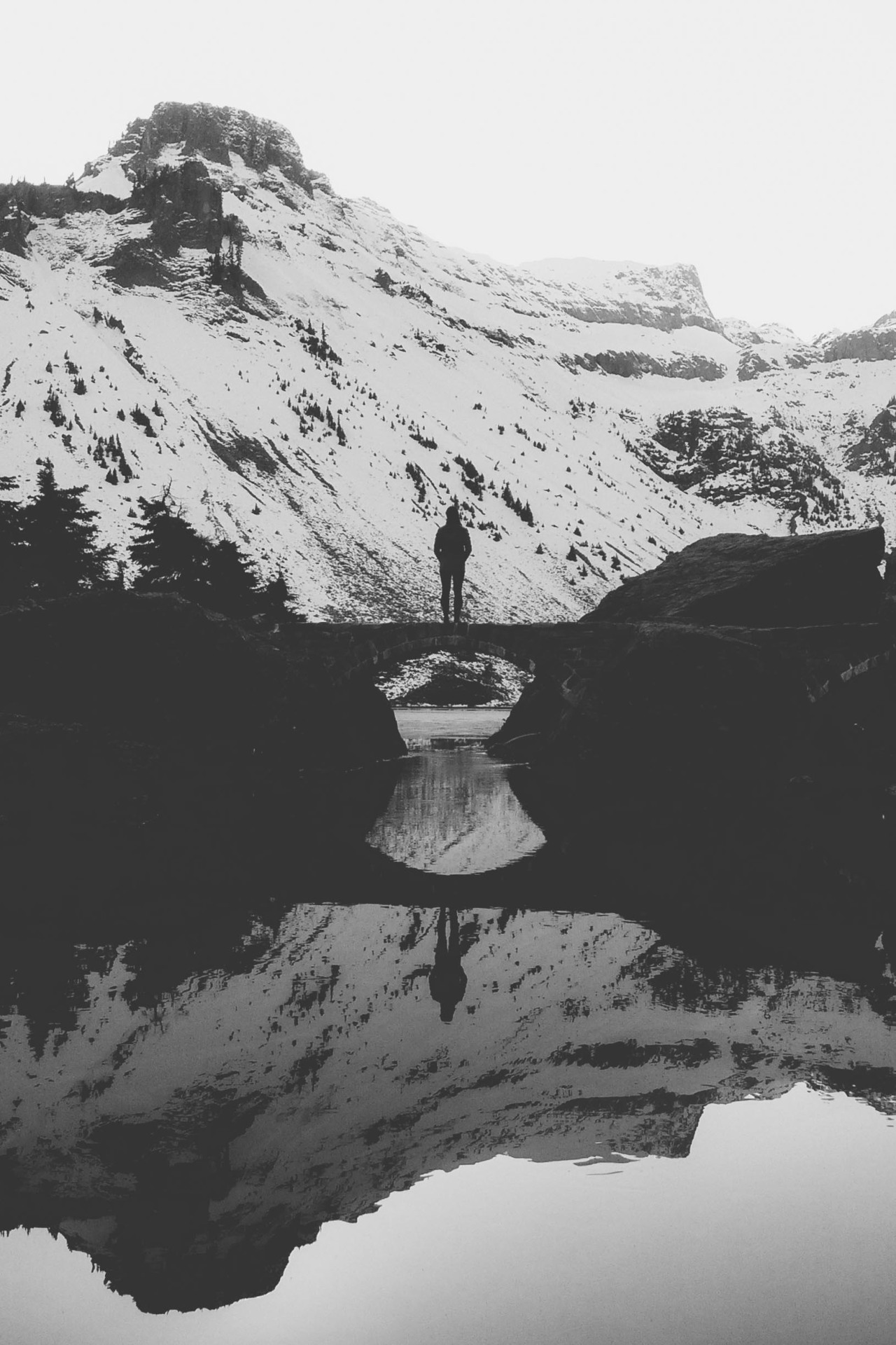 Archillect ID 48186