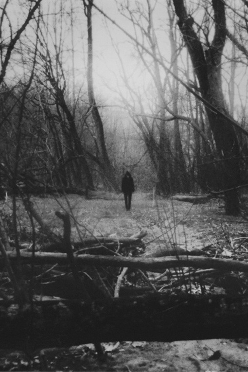 Archillect ID 48219