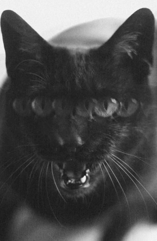 Archillect ID 48230
