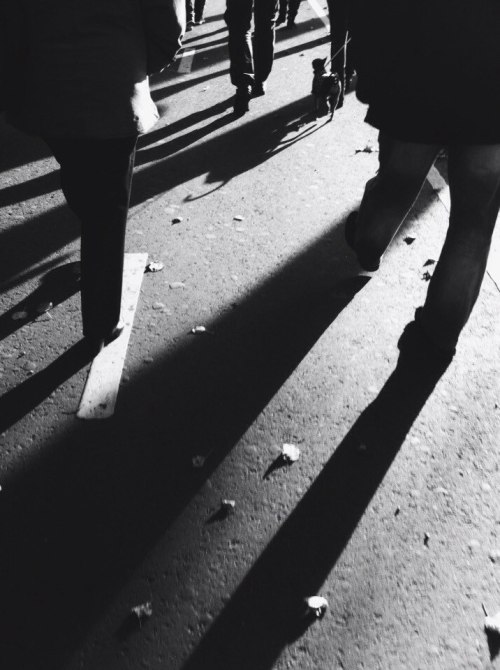 Archillect ID 48289