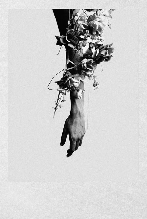 Archillect ID 48300