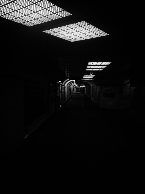 Archillect ID 48566