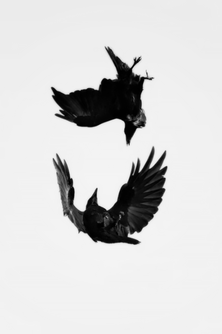 Archillect ID 48572
