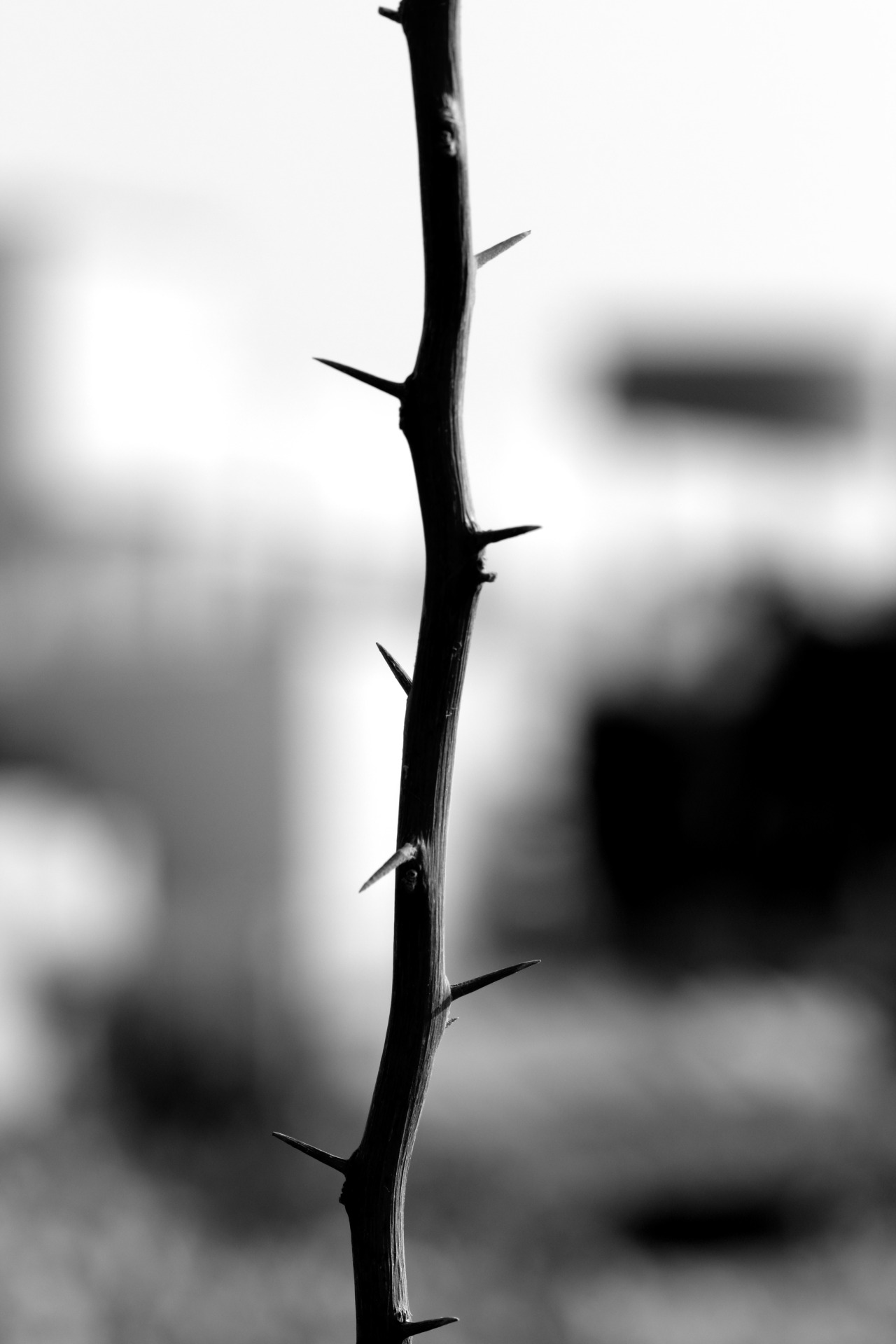 Archillect ID 48645