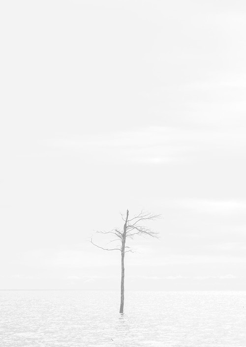 Archillect ID 48727
