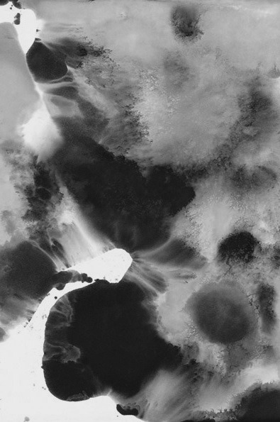 Archillect ID 48871