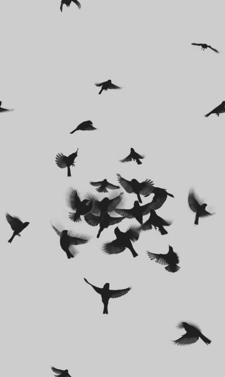 Archillect ID 48980