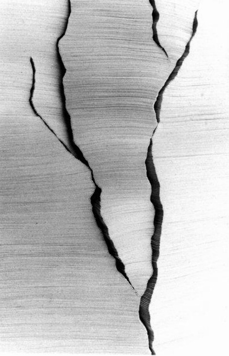 Archillect ID 48996