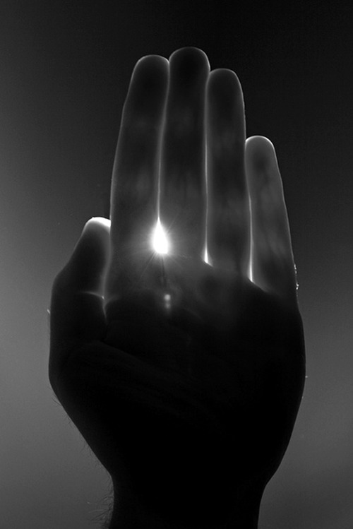 Archillect ID 49009