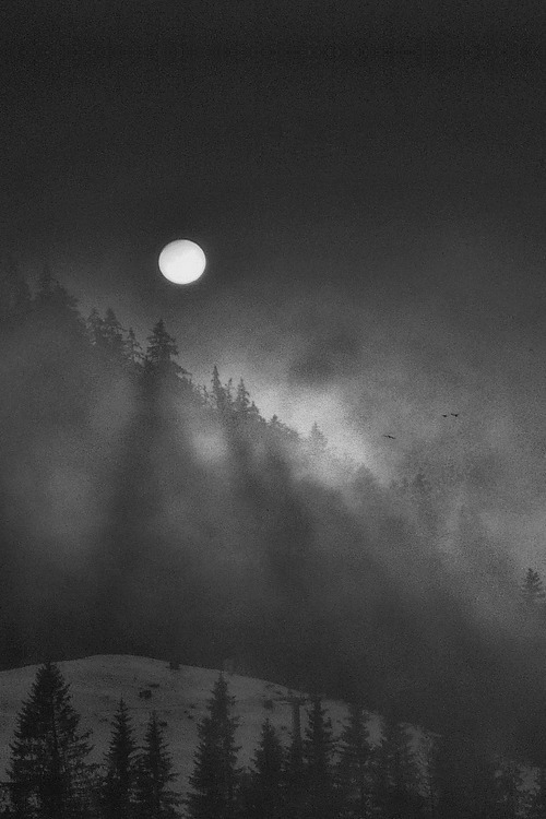 Archillect ID 49019