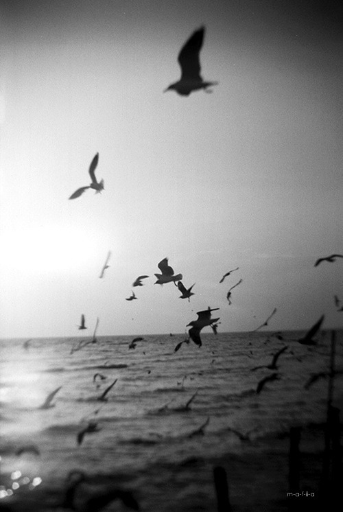 Archillect ID 49071