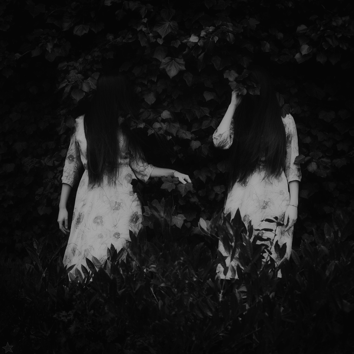 Archillect ID 49112