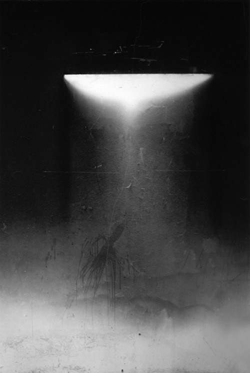 Archillect ID 49160