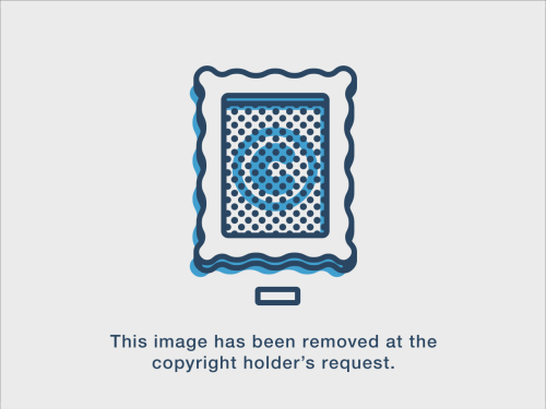 Archillect ID 49215