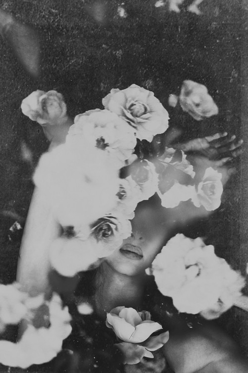 Archillect ID 49361