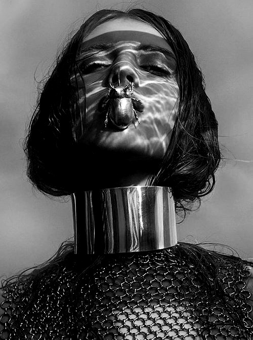 Archillect ID 49367