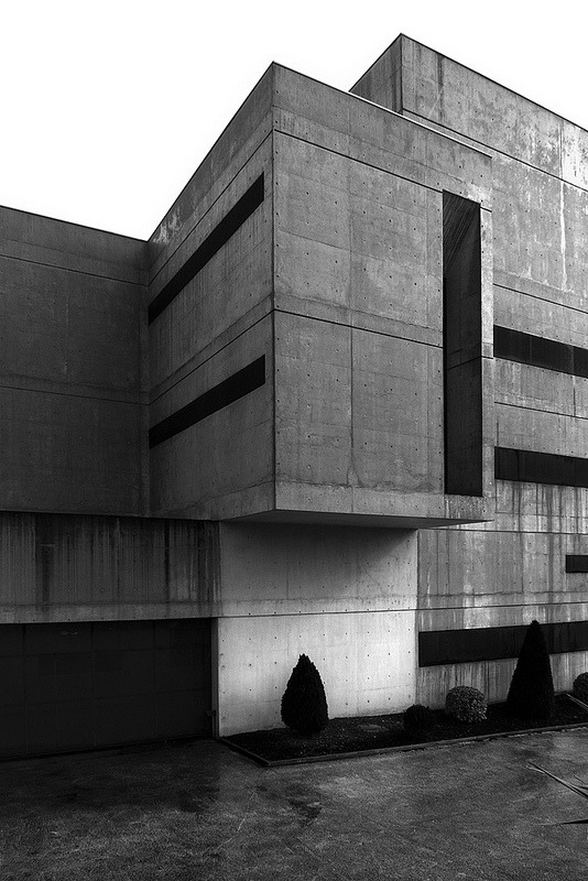 Archillect ID 49446