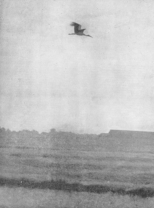 Archillect ID 49484