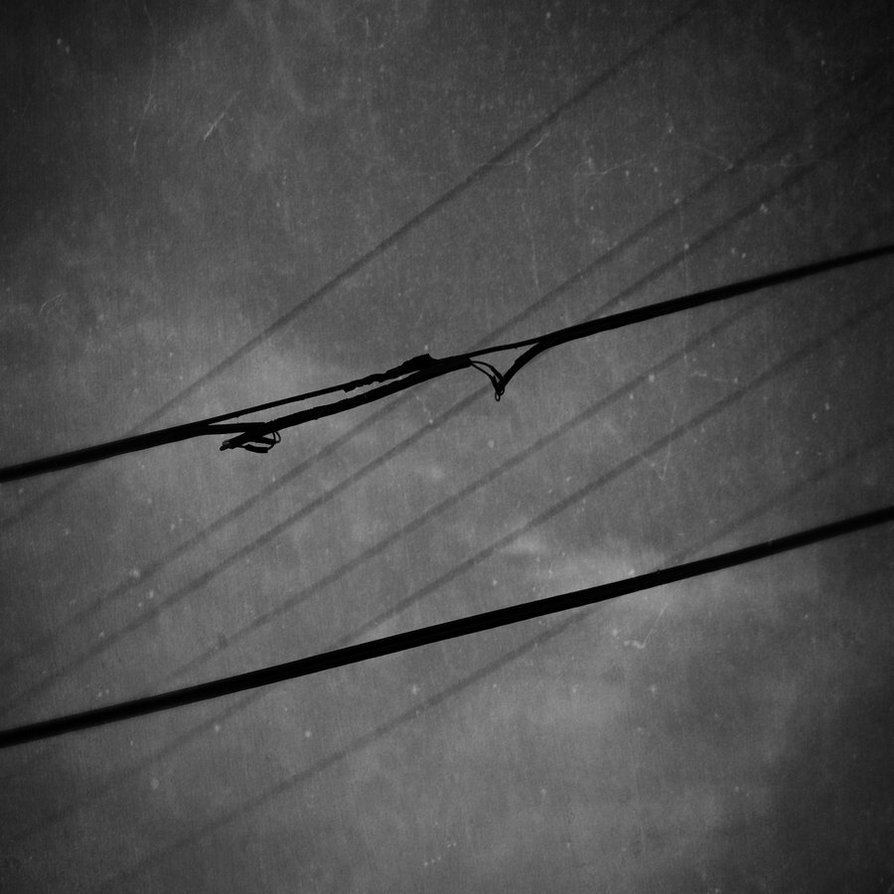 Archillect ID 49531