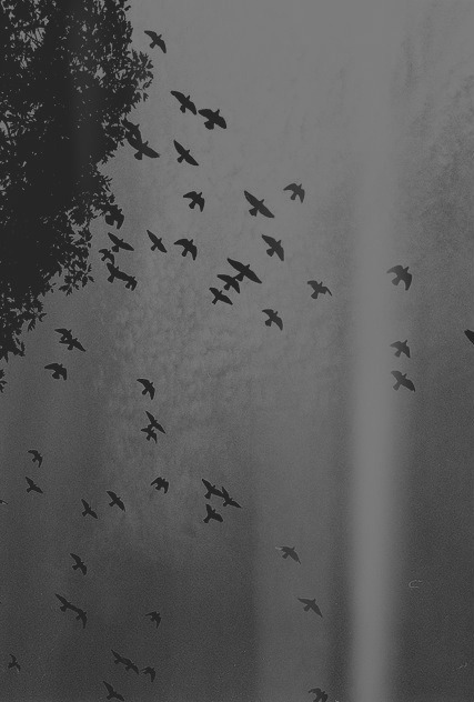 Archillect ID 49539