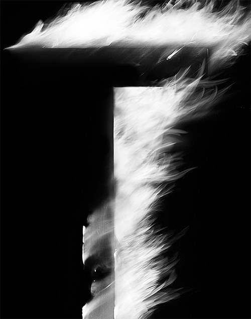 Archillect ID 49559