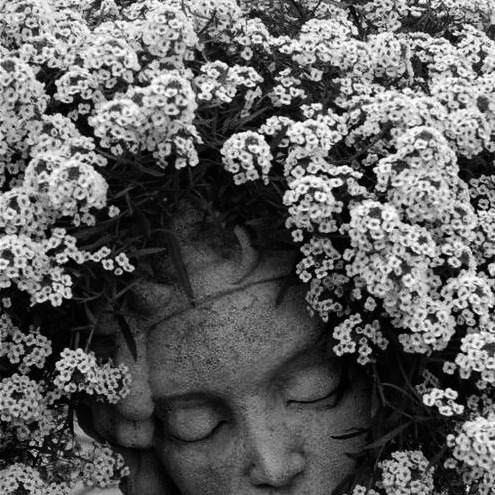 Archillect ID 49637