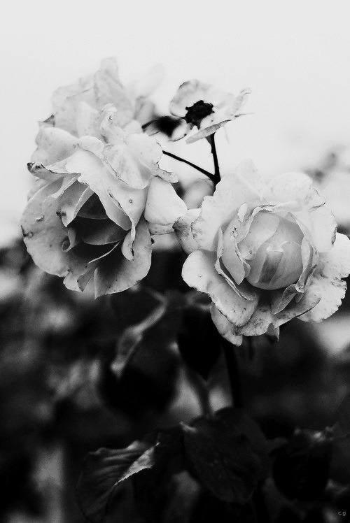 Archillect ID 49719