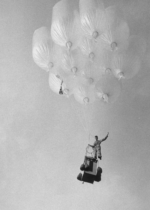 Archillect ID 49736