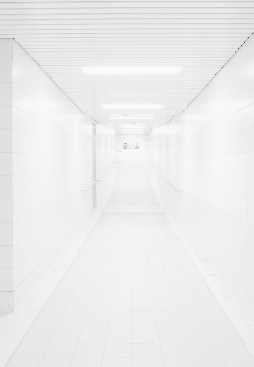 Archillect ID 49825