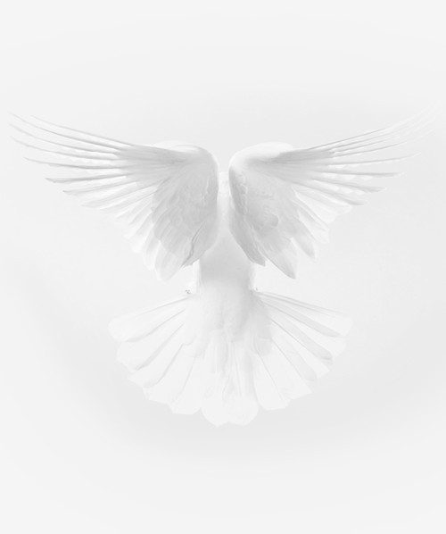 Archillect ID 49921