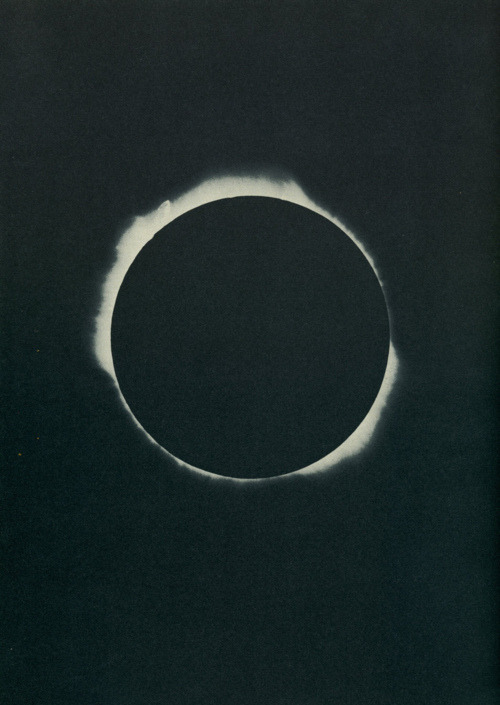 Archillect ID 50005