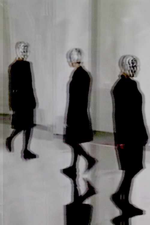 Archillect ID 50024