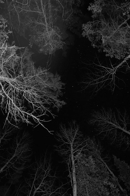 Archillect ID 50076