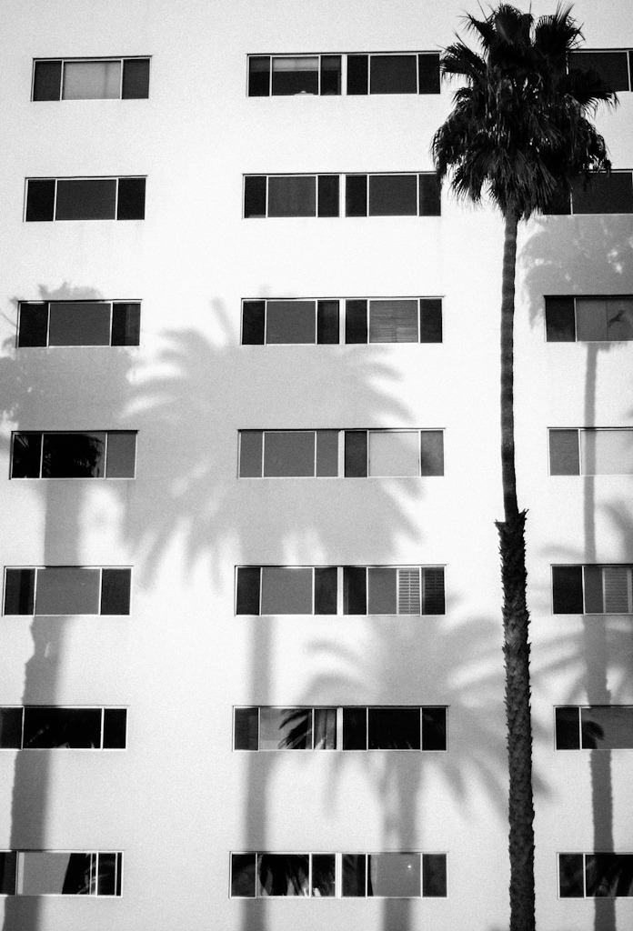 Archillect ID 50121