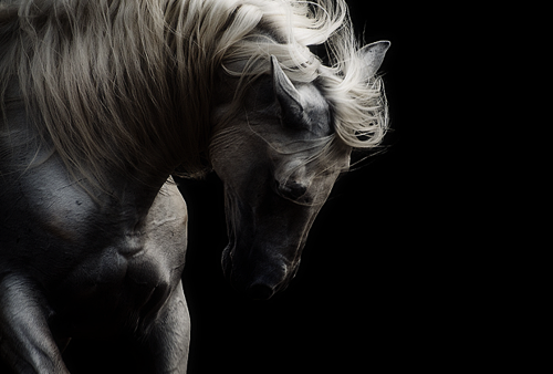 Archillect ID 50155