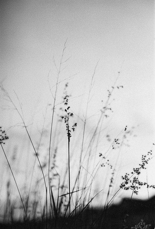Archillect ID 50159