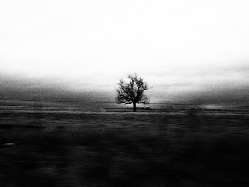 Archillect ID 50204