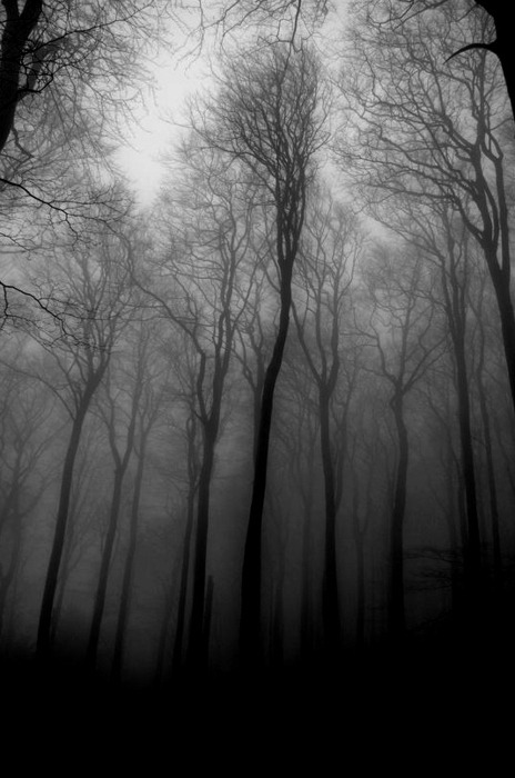 Archillect Archive ID 50277