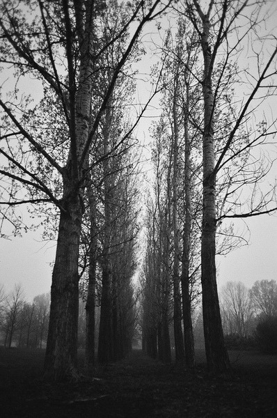 Archillect ID 50285