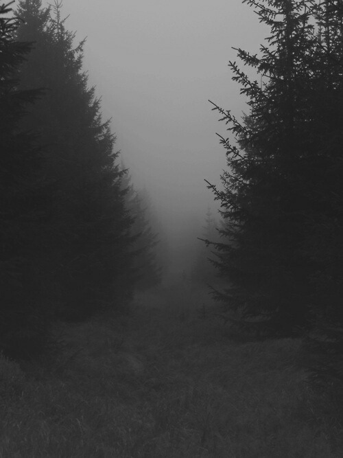 Archillect ID 50289