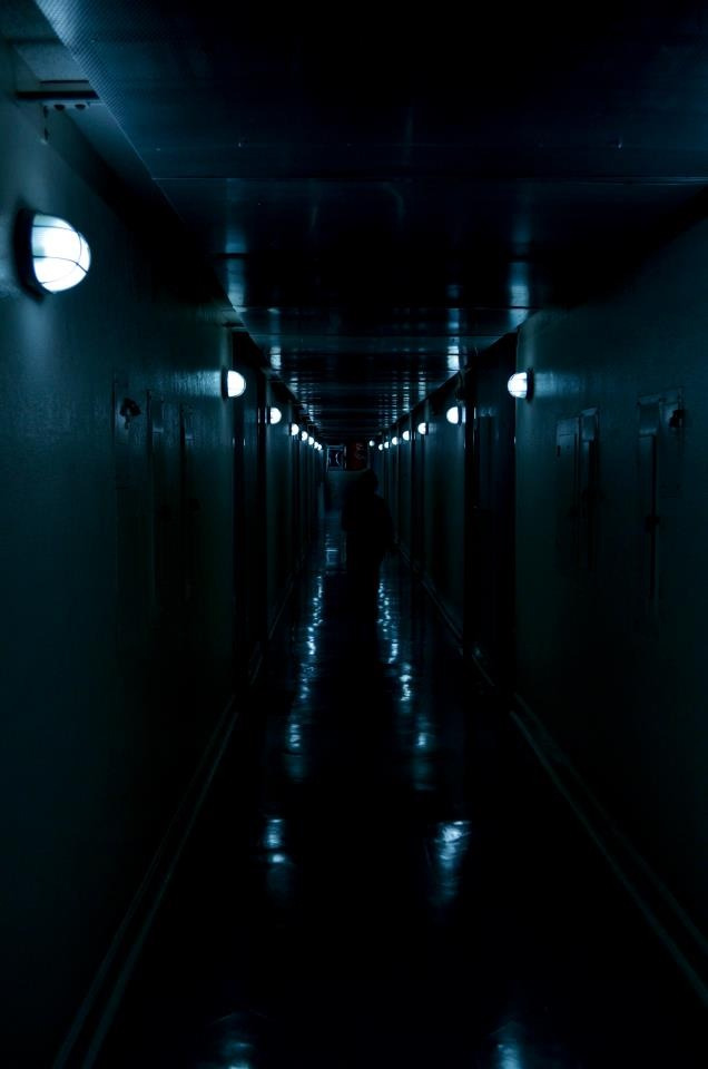 Archillect ID 50314