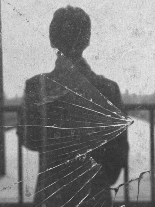 Archillect ID 50320