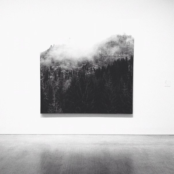Archillect ID 50329